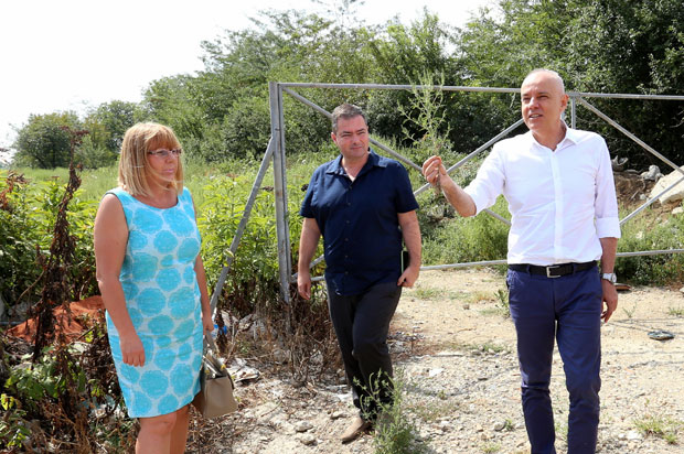 Радојичић: Одлучније у решавање проблемa амброзије